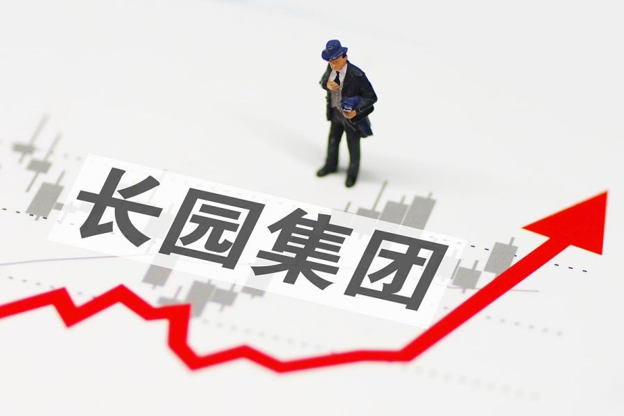长园集团：稳健增长的领先企业，投资者的明智选择