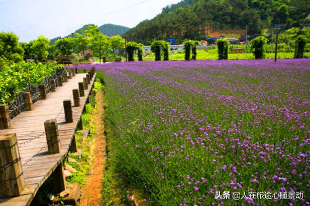 义乌有哪些好玩的地方不需要门票,义乌适合一日游的地方有哪些景点