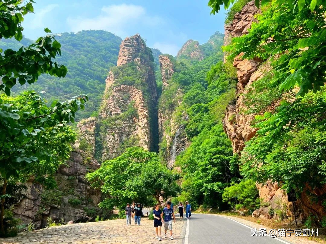 亲泉戏水避高温，来梨木台就对了