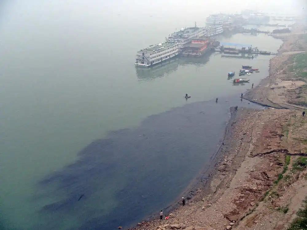 长江十年禁渔江豚动画,长江禁渔十年是为了江豚吗