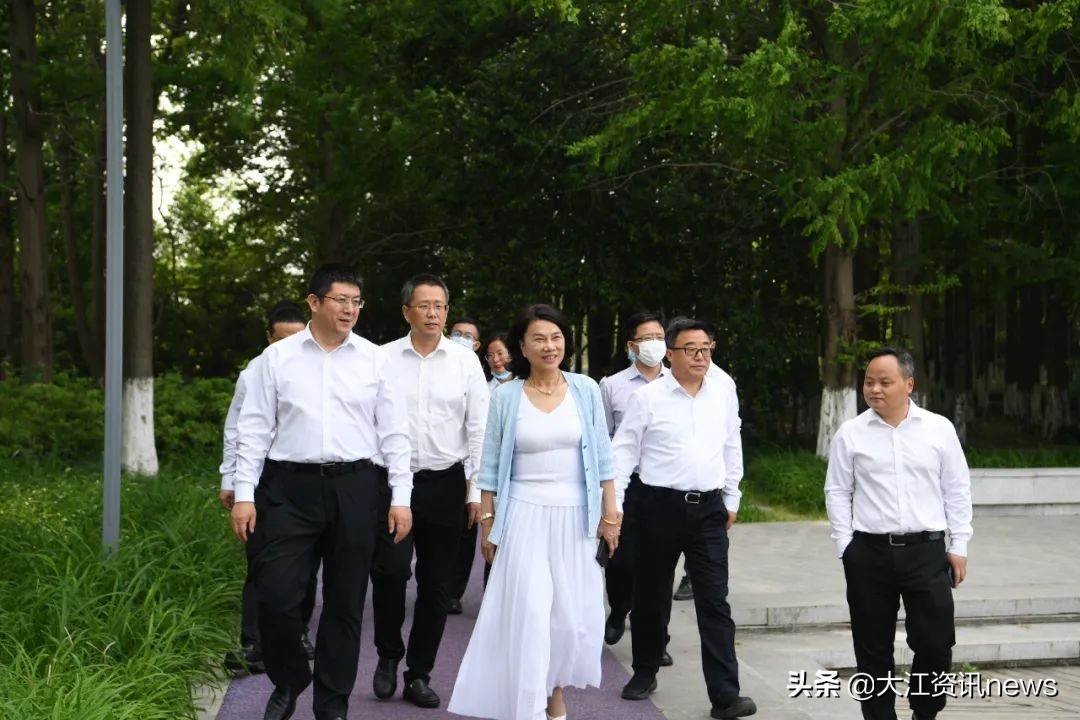 壮观！这些珠三角名企，不约而同选择芜湖