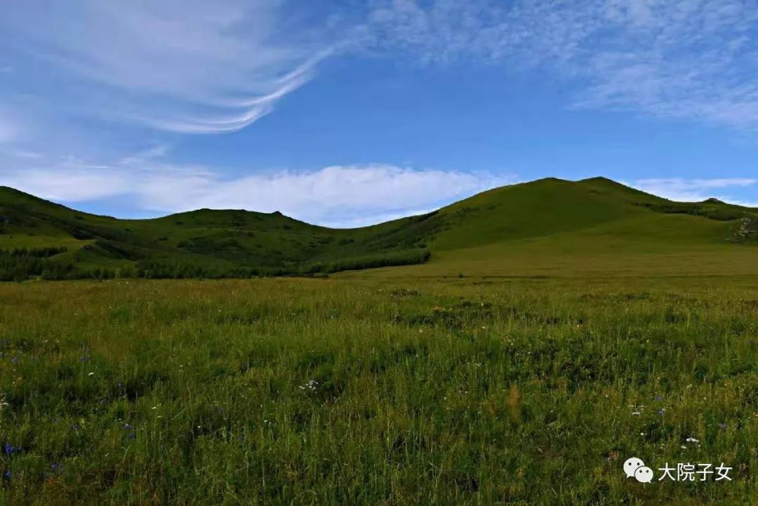 一兵丨我看坝上草原
