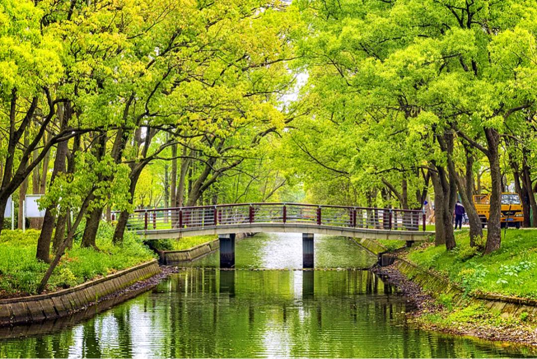 苏州避暑纳凉好玩的地方,苏州南通避暑
