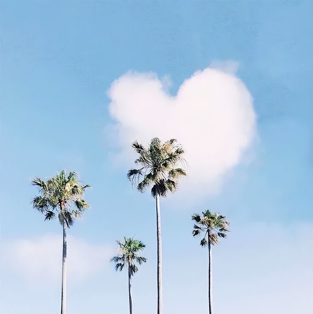 可以分享一句你一直收藏的句子吗,分享一句收藏很久的句子