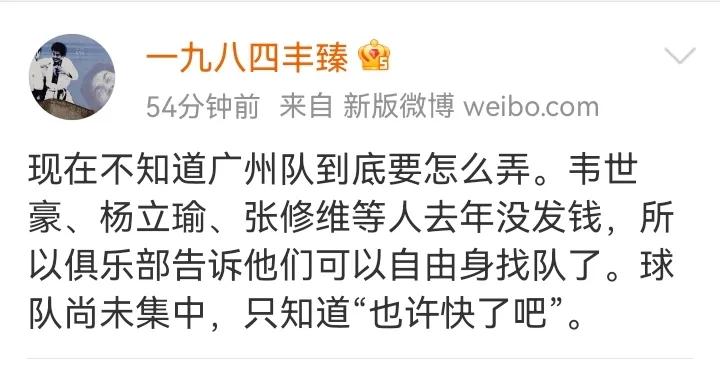 韦世豪杨立瑜严鼎皓都去哪了,韦世豪严鼎皓