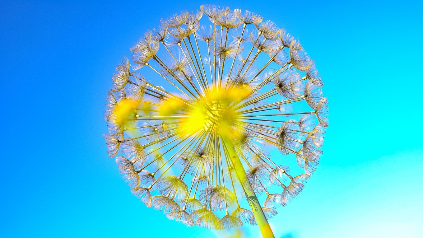 毕节油杉河景区,贵州夏季的避暑景点
