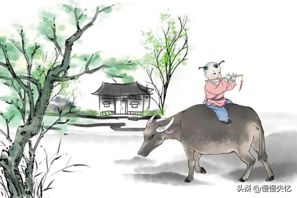 收藏50首夏日古诗词带你清凉一夏,十首诗词最懂夏天的美