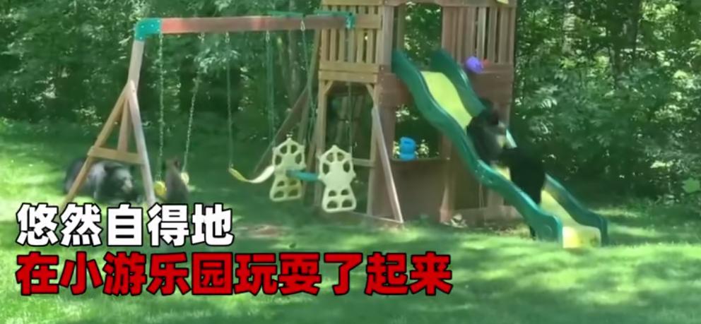 被黑熊袭击为什么这么严重,男子家中遭黑熊袭击徒手击退黑熊