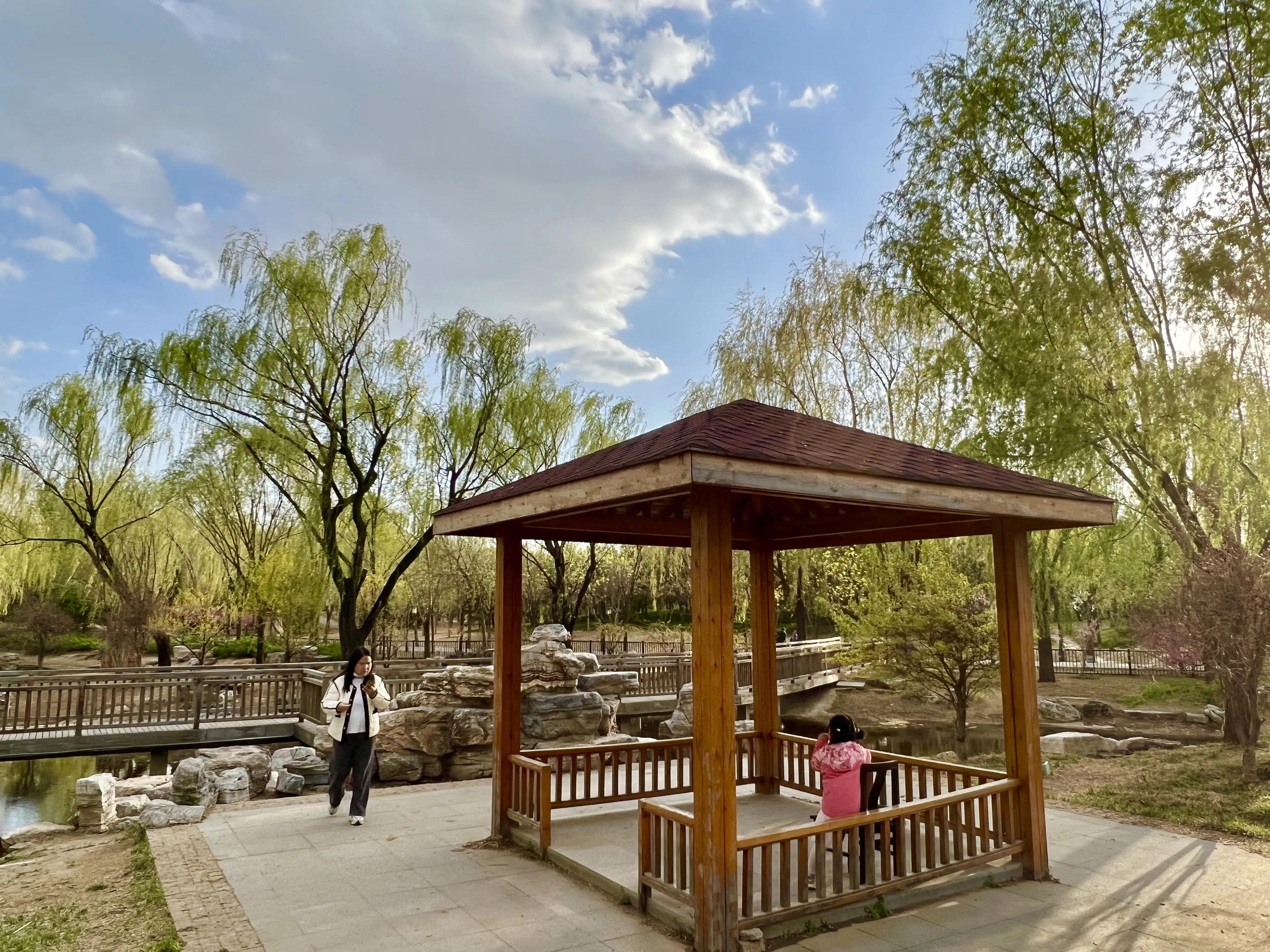 乐逍遥,乐逍遥歌曲