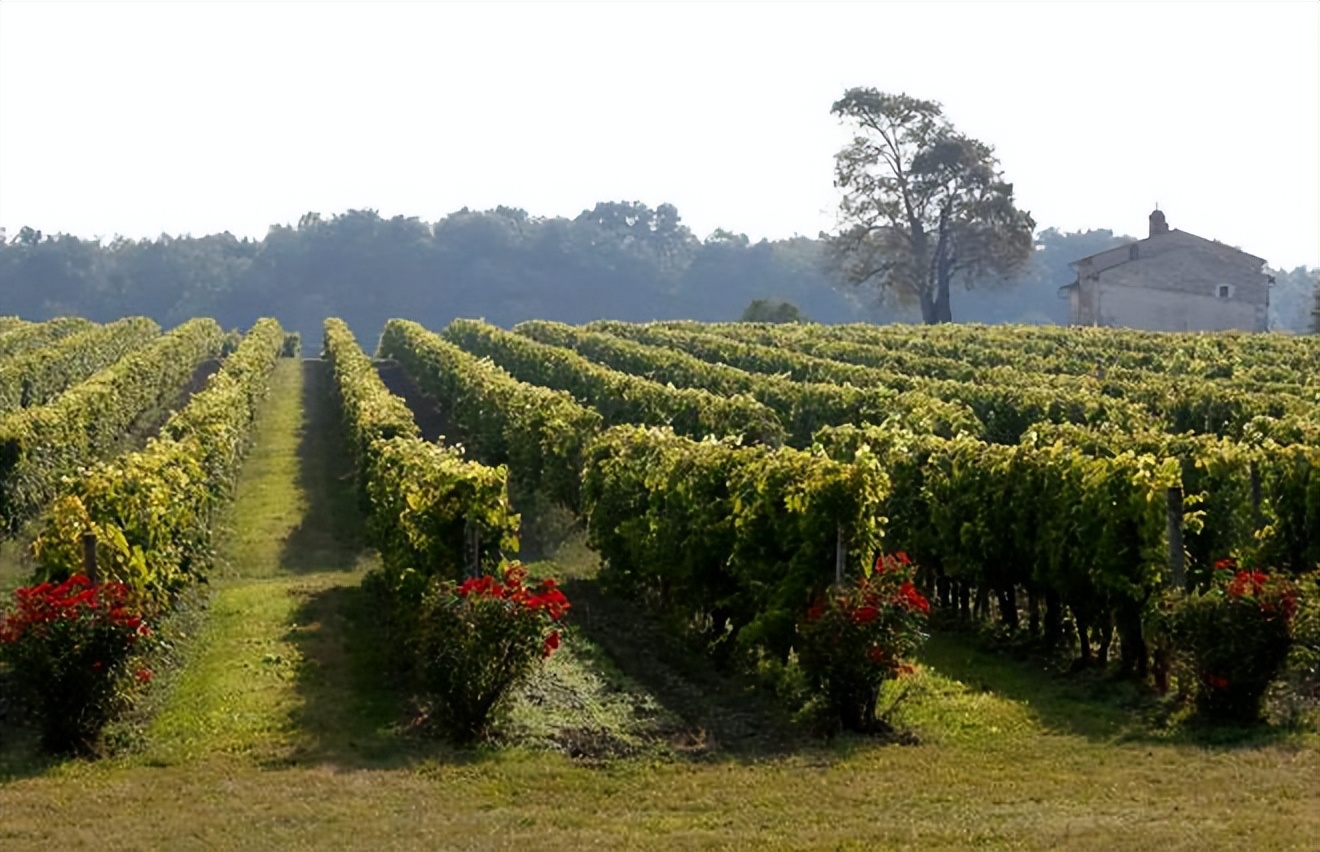 宝德区干邑,宝德什么寓意