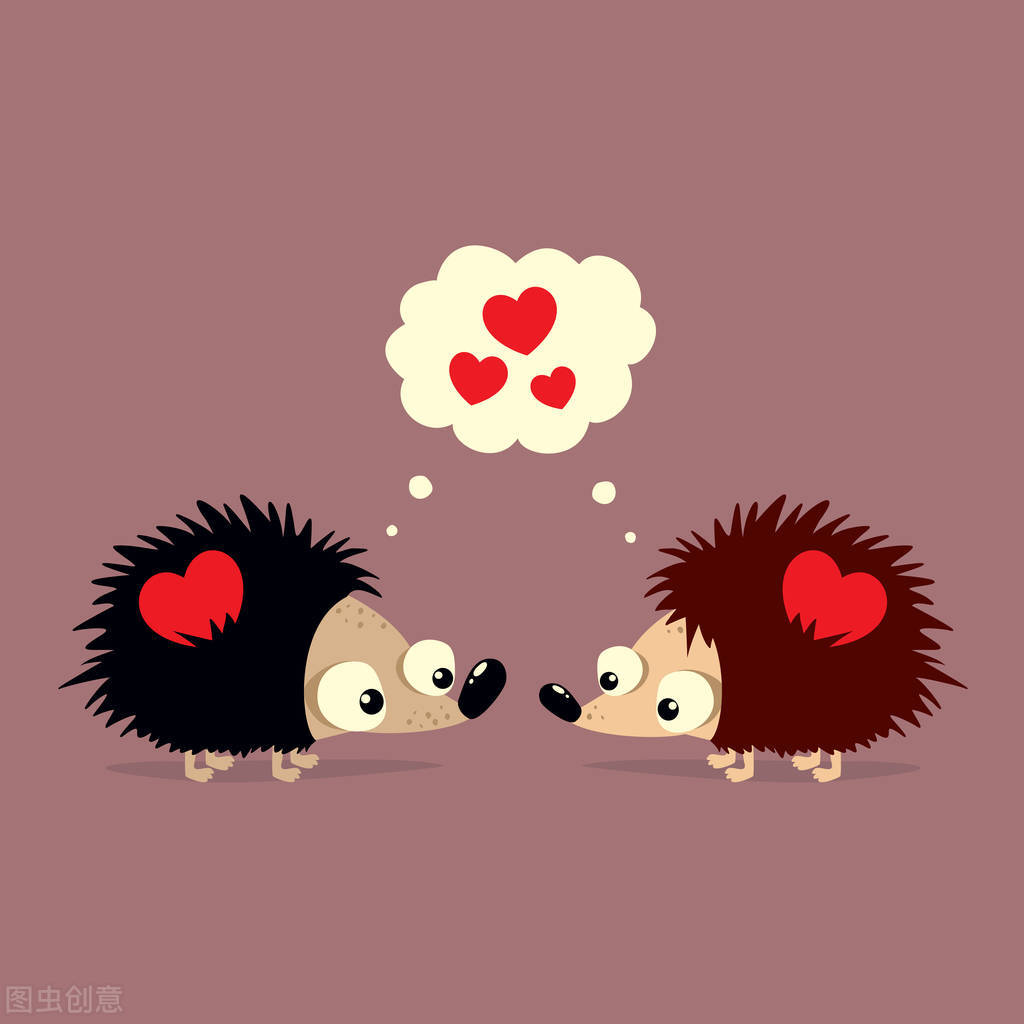 心理学如何拥抱刺猬,如何拥抱一个刺猬心理课