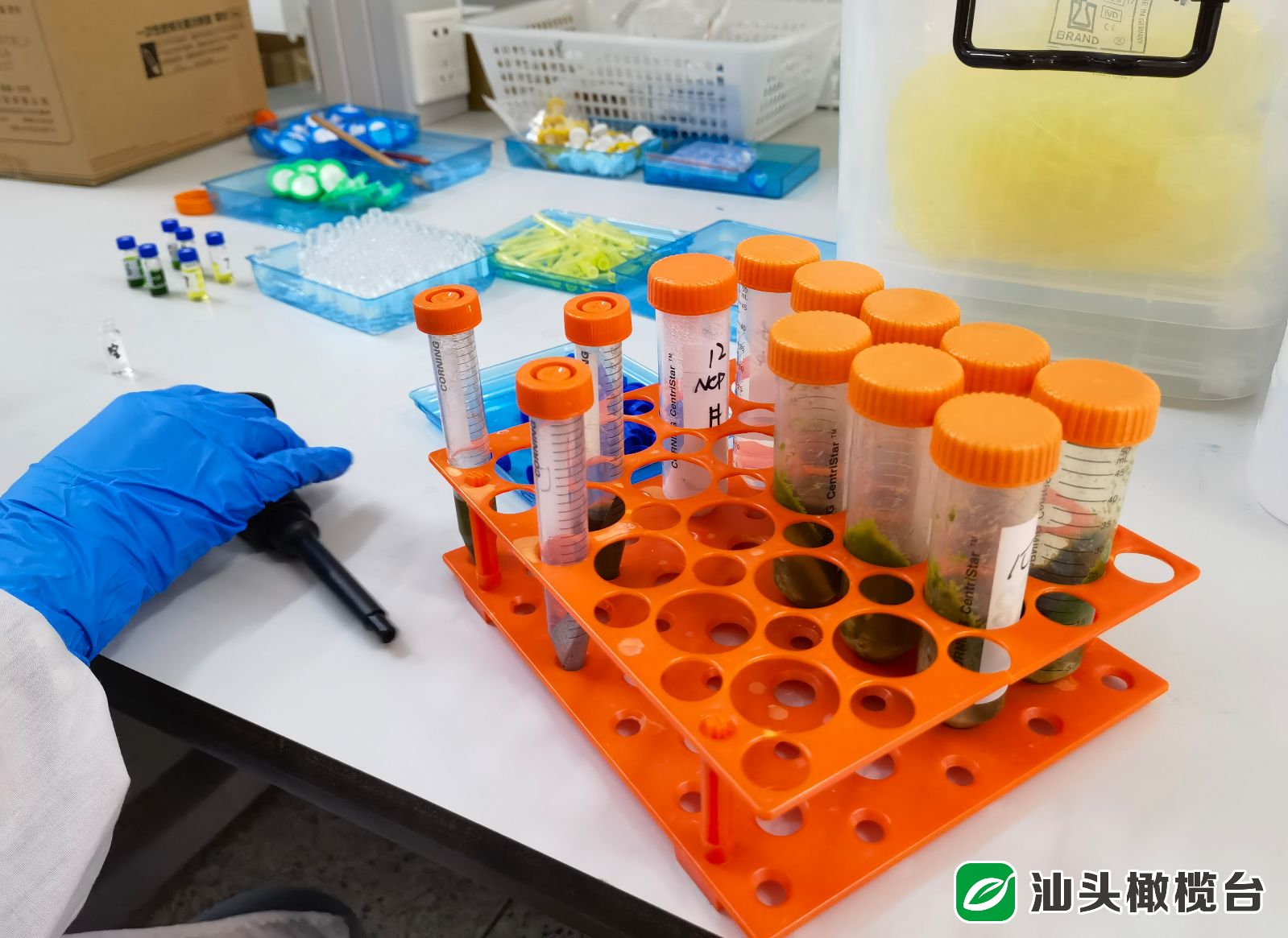 为安全生产提供技术质量保障,为企业降本增效提供坚强保障