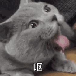 为什么吸毒后有被害妄想,吸毒患者大脑和正常人有区别吗