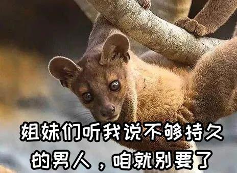 动物交,配时间表,最短0.3秒,最长的竟然是……