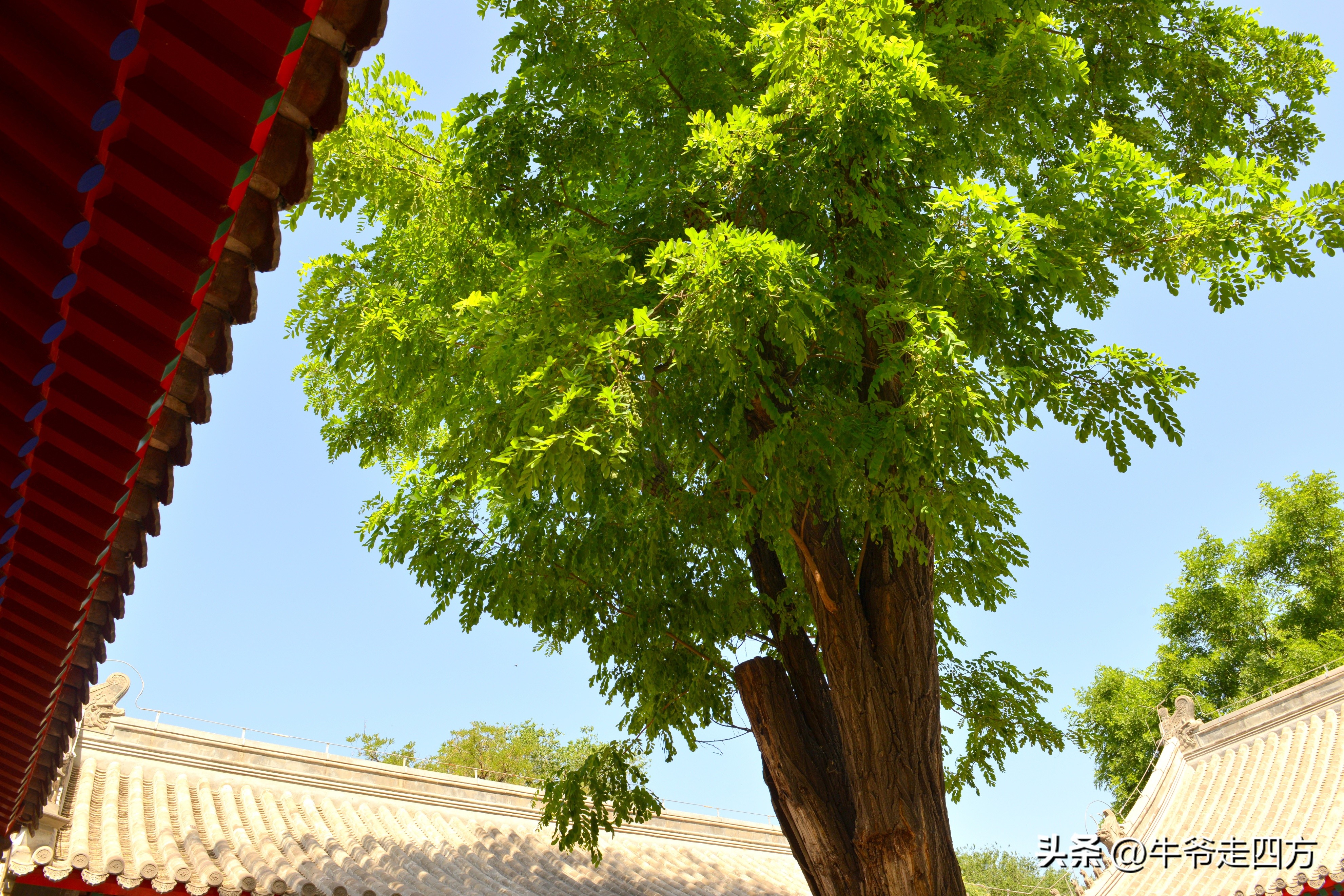 鍖椾含閲戠煶鍗氱墿棣嗗簡浜戝闂ㄧエ,閲戠煶鍗氱墿棣嗗簡浜戝