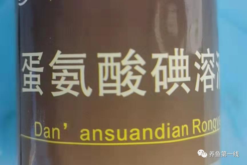 鱼类败血症病原,鱼类细菌性败血症