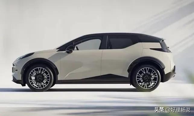 雪地上的喜鹊开饭了！喜欢出游的人们有新期待了！