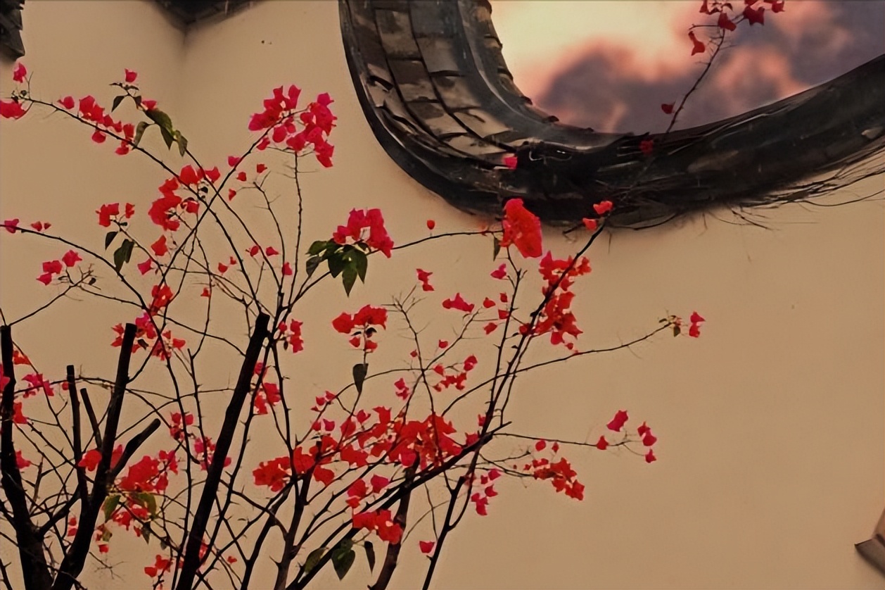 发生在焦作的真实故事,焦作的好故事