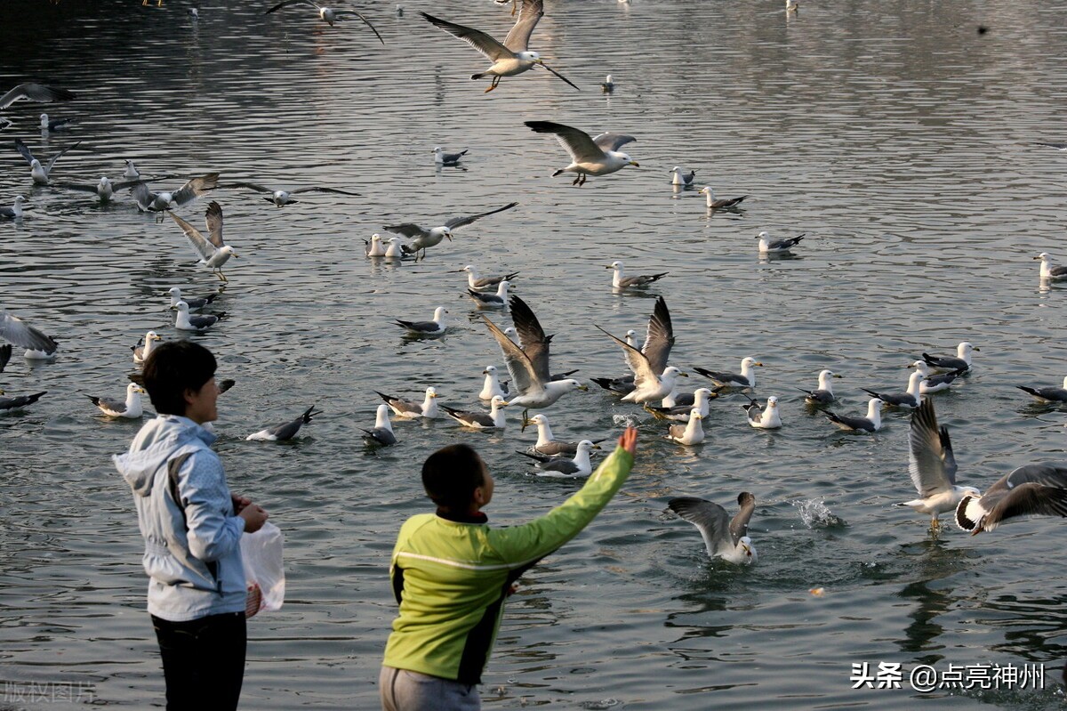 暑假旅游推荐凉快地方5人,暑假最适合5天旅游的清凉地方