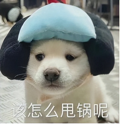 顶风作案！200万粉丝网红品牌芬缇妮创始人，直播带货*牌套**产品