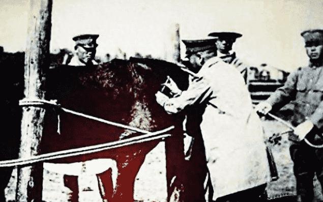 日本731部队的母爱实验,日本731部队测试母爱