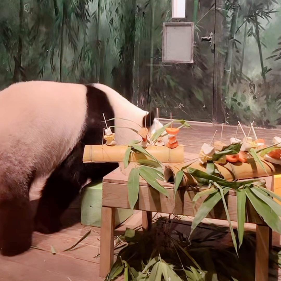 6.6夜播录屏(一)小国庆不太会撸串哦🤭视频来源直播间