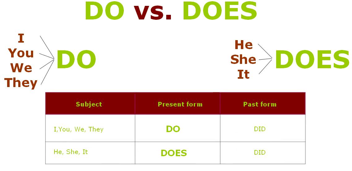 助动词dodoes的使用方法及练习题,英语助动词do和does用法问句