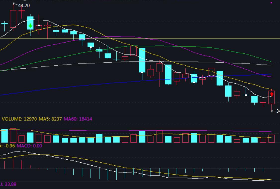 随心动含义,随心意交易软件怎么样