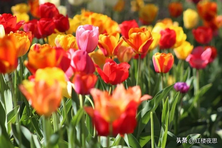 解决工作生活压力的方法,在工作中缓解压力的方法