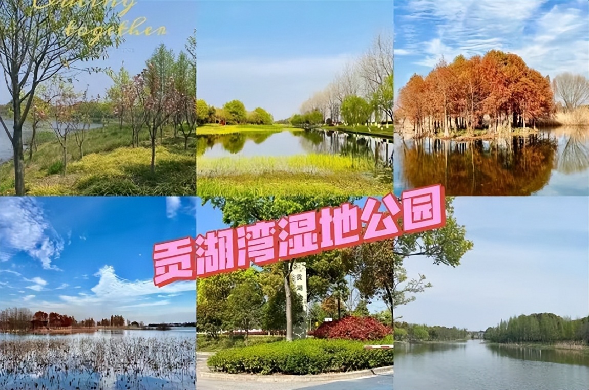 广州网红露营地推荐,新都桥网红露营地推荐