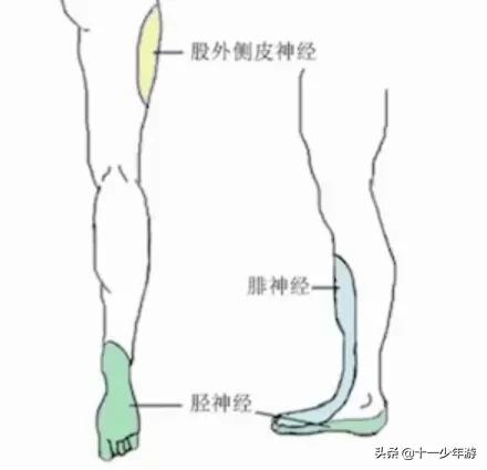 周围神经病和外周神经病,周围神经病