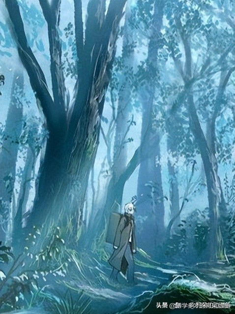 热门的动漫有哪些,有哪些好看热度不高的动漫