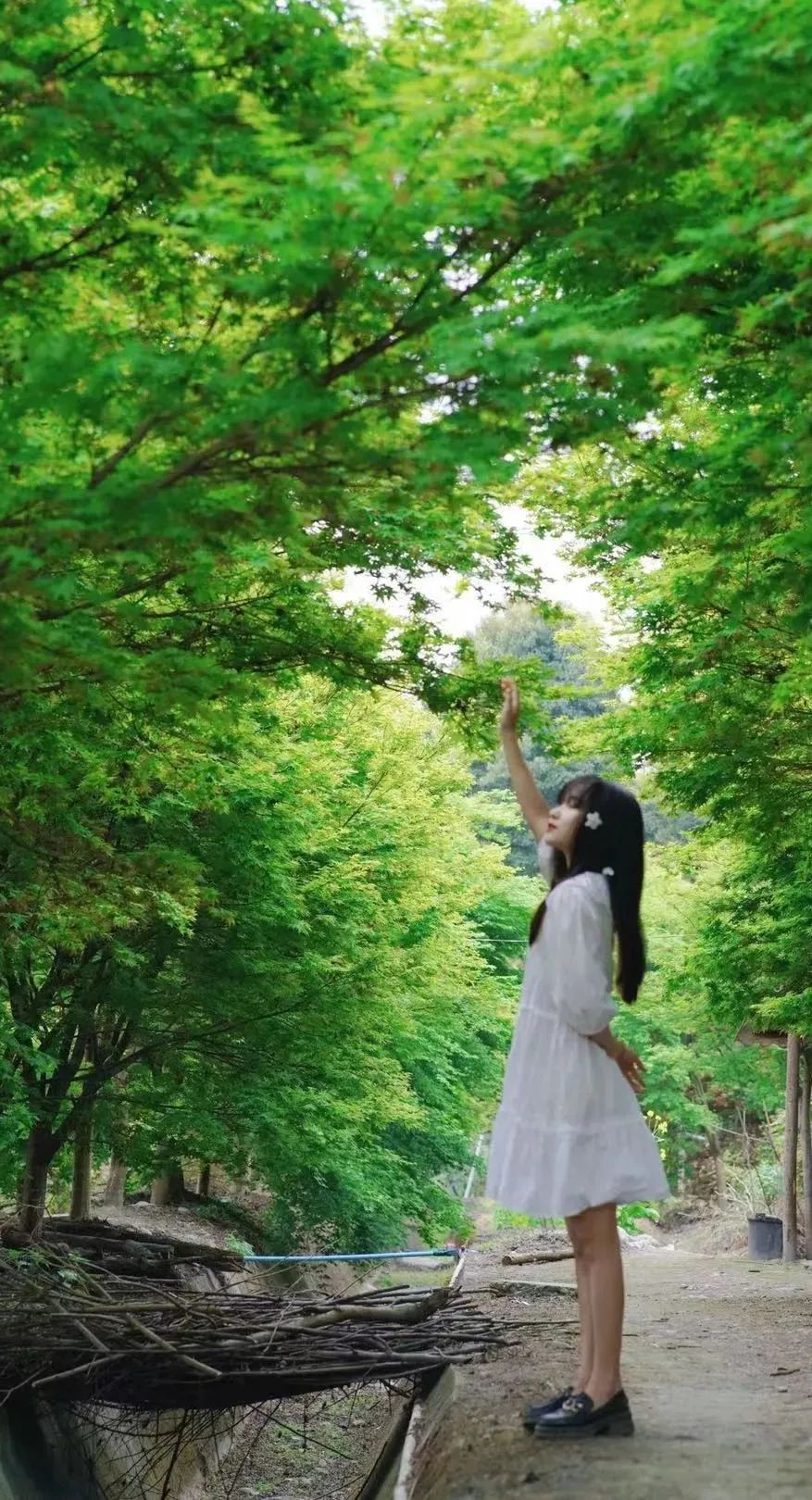 提前盛开！成都市区这个被偏爱的宝藏地又上新，即将刷爆全网