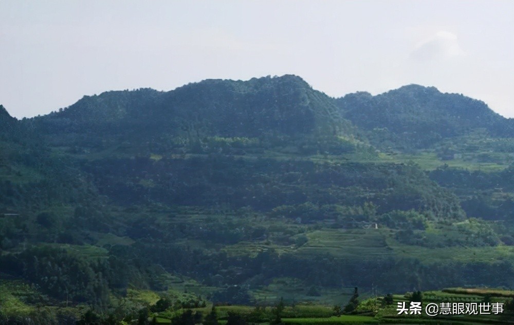 侯海洋基层风云全文免费阅读,侯海洋基层风云完整版免费听