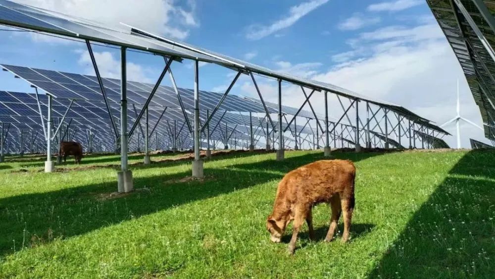 靠晒太阳就躺赚的光伏骗局,靠晒太阳躺赚上万农民被坑