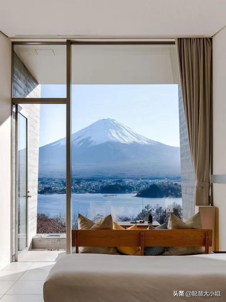 日本樱花花海浪漫之旅,日本旅游看樱花之旅攻略