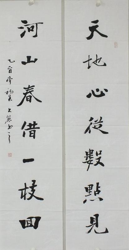 魏碑安文丽,安文丽魏碑示范视频