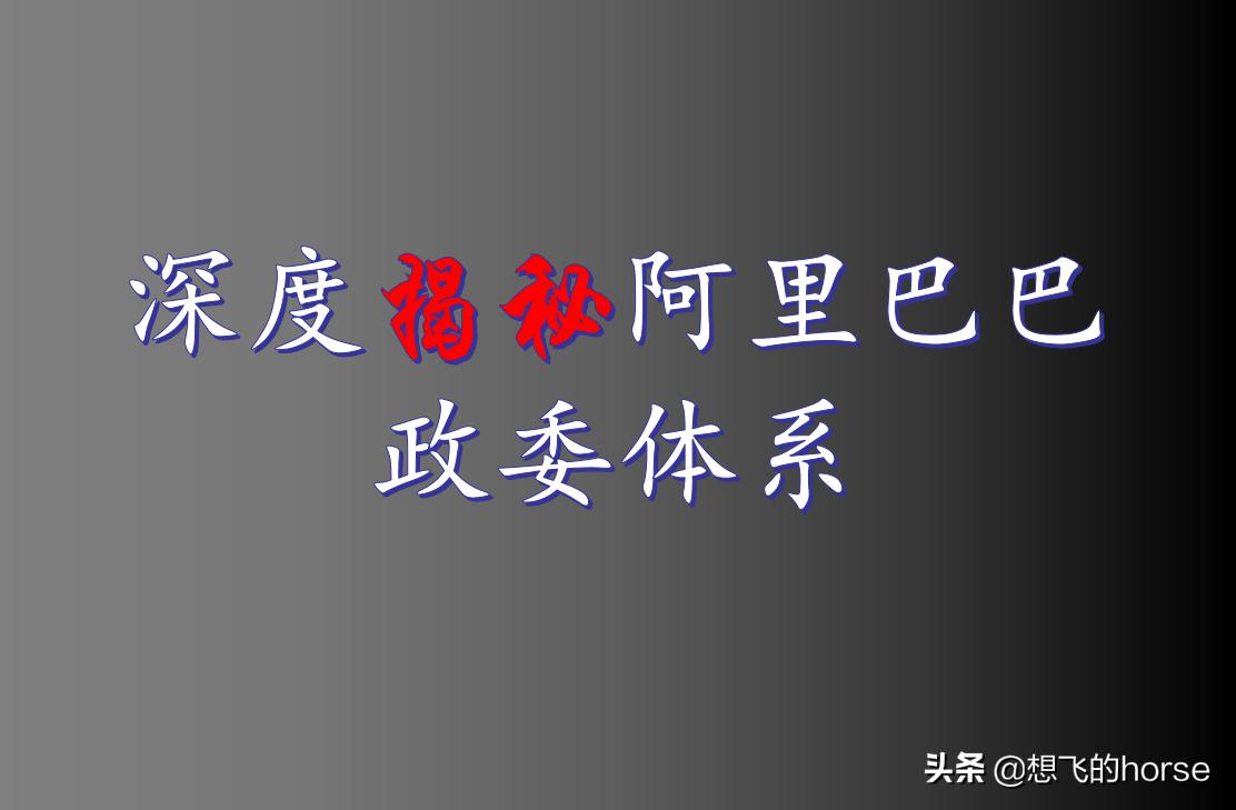 阿里巴巴政委体系是什么,解密阿里巴巴政委体系观后感