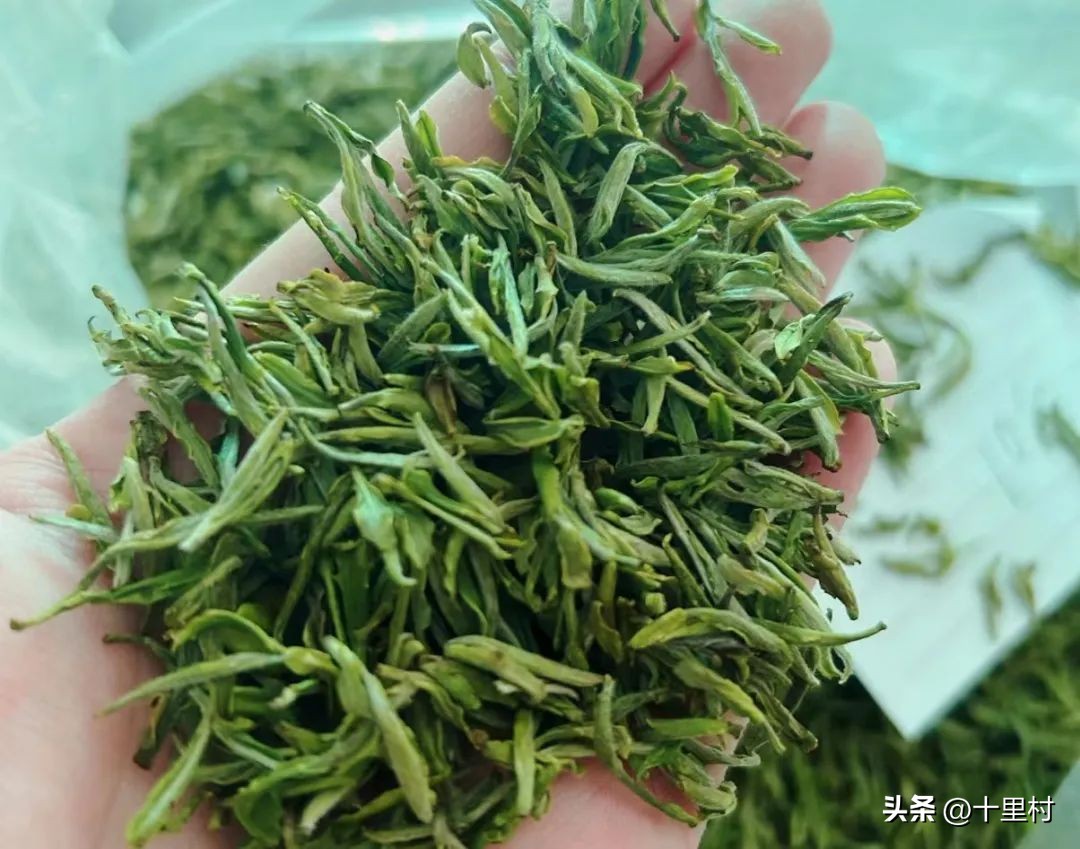 揭露卖茶叶如何5年赚1万亿,卖茶叶15天能赚多少钱