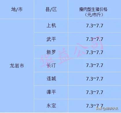 今日福建各地猪价行情走势,猪价最新快讯