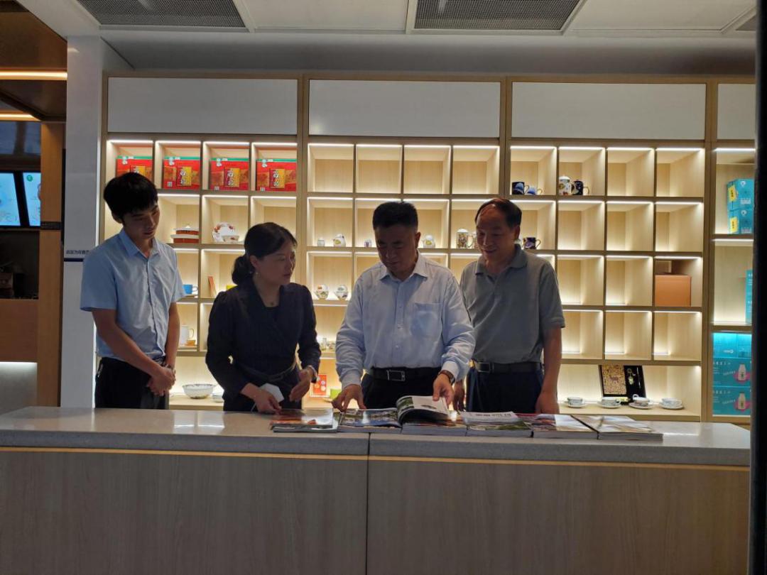 朱虹解读,朱虹讲述