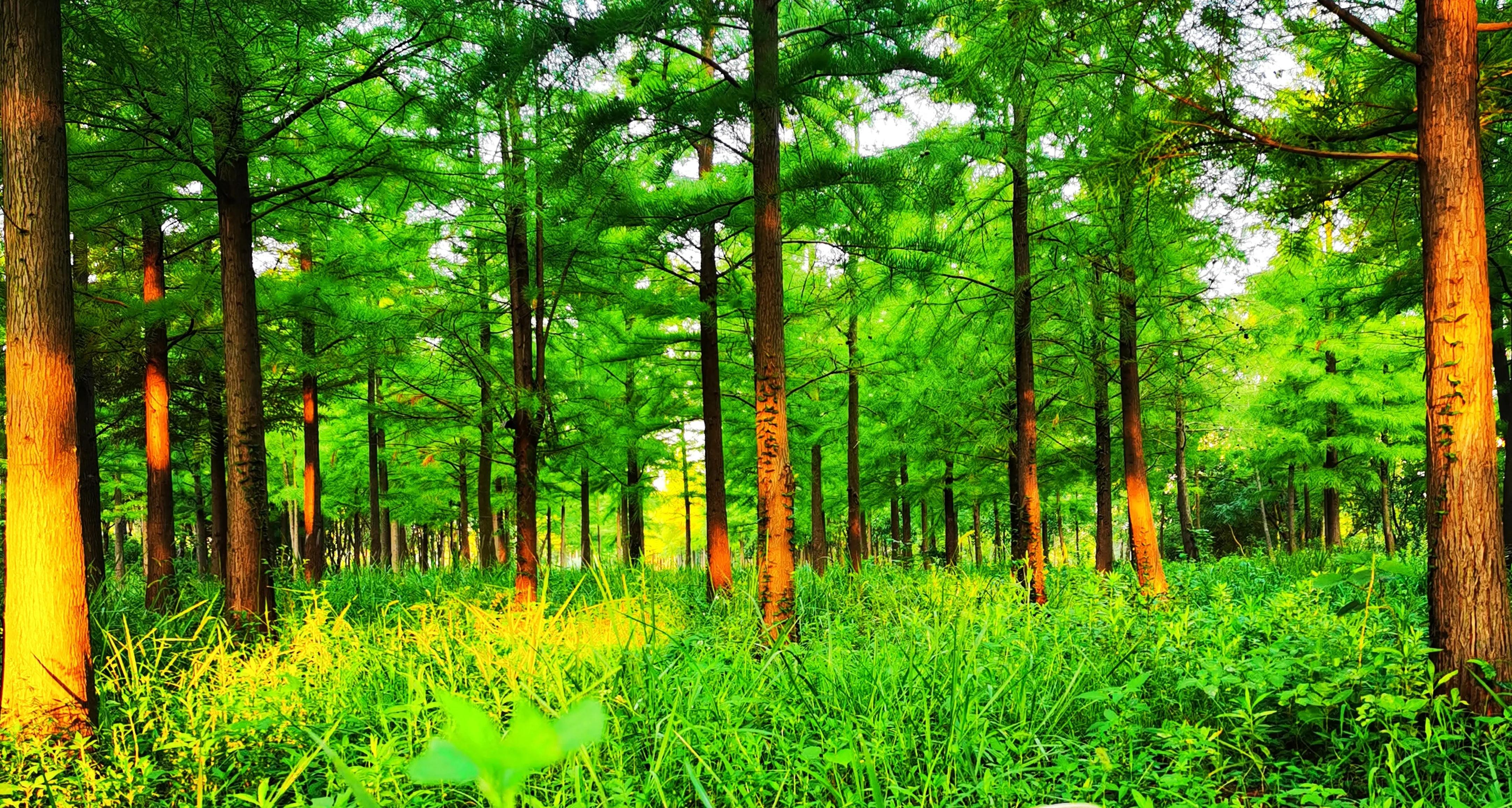 老师给我打电话谈论孩子的问题,老师来电的反应