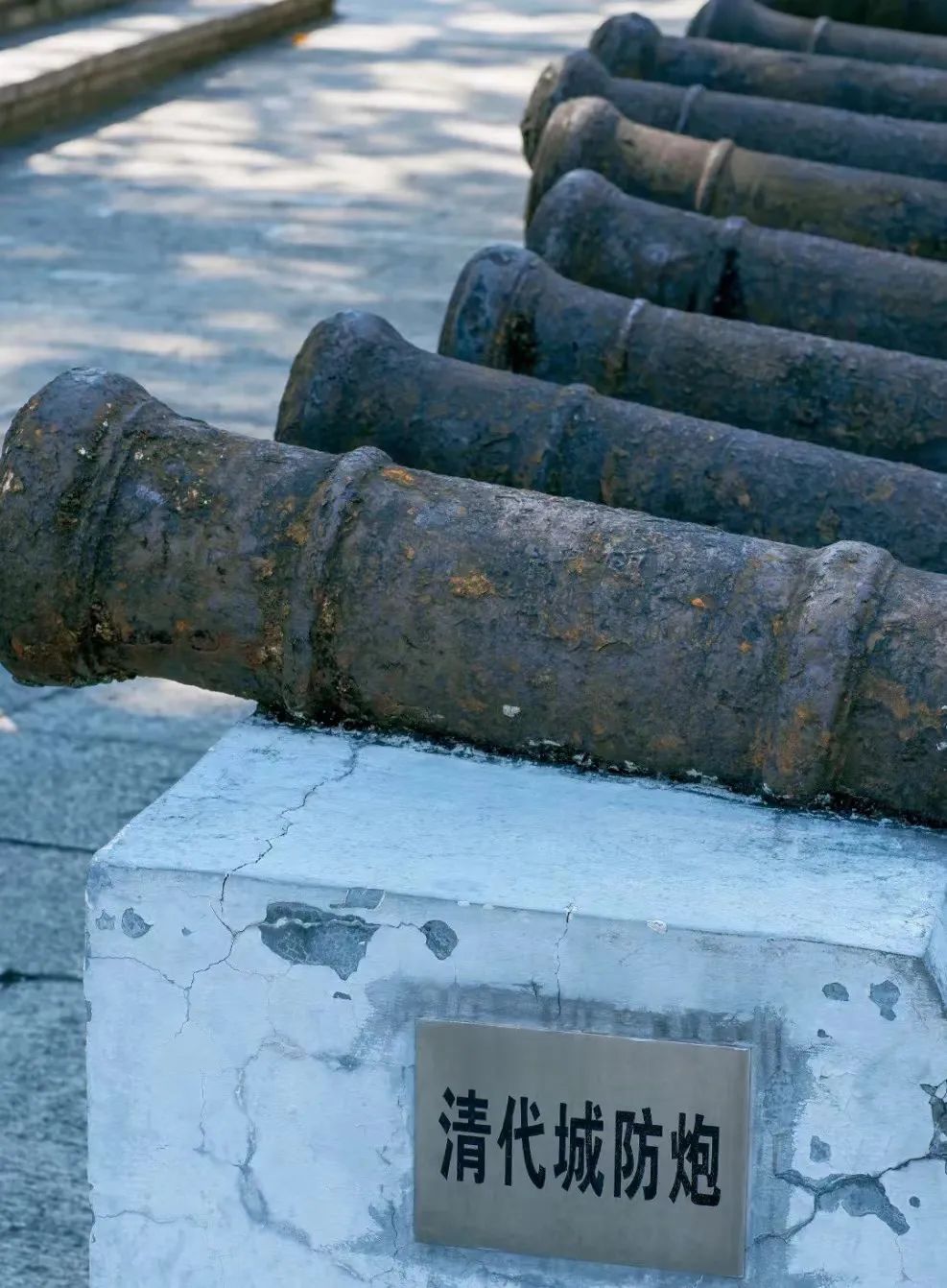 零零鲸家族国庆出游攻略—越秀公园