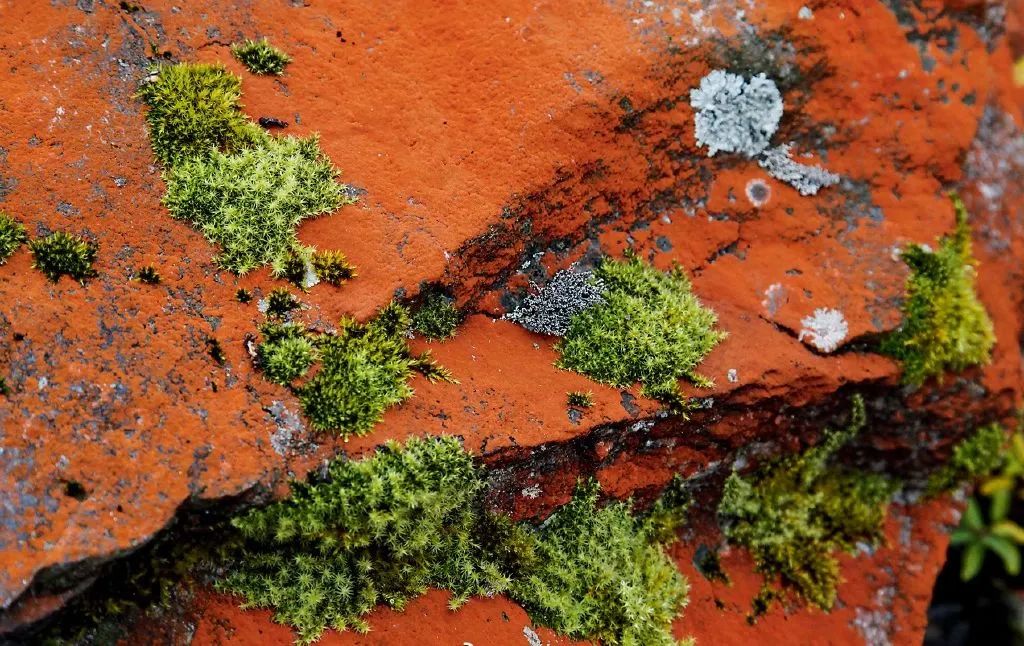 中国旅游日凉山,中国旅游日四川景区