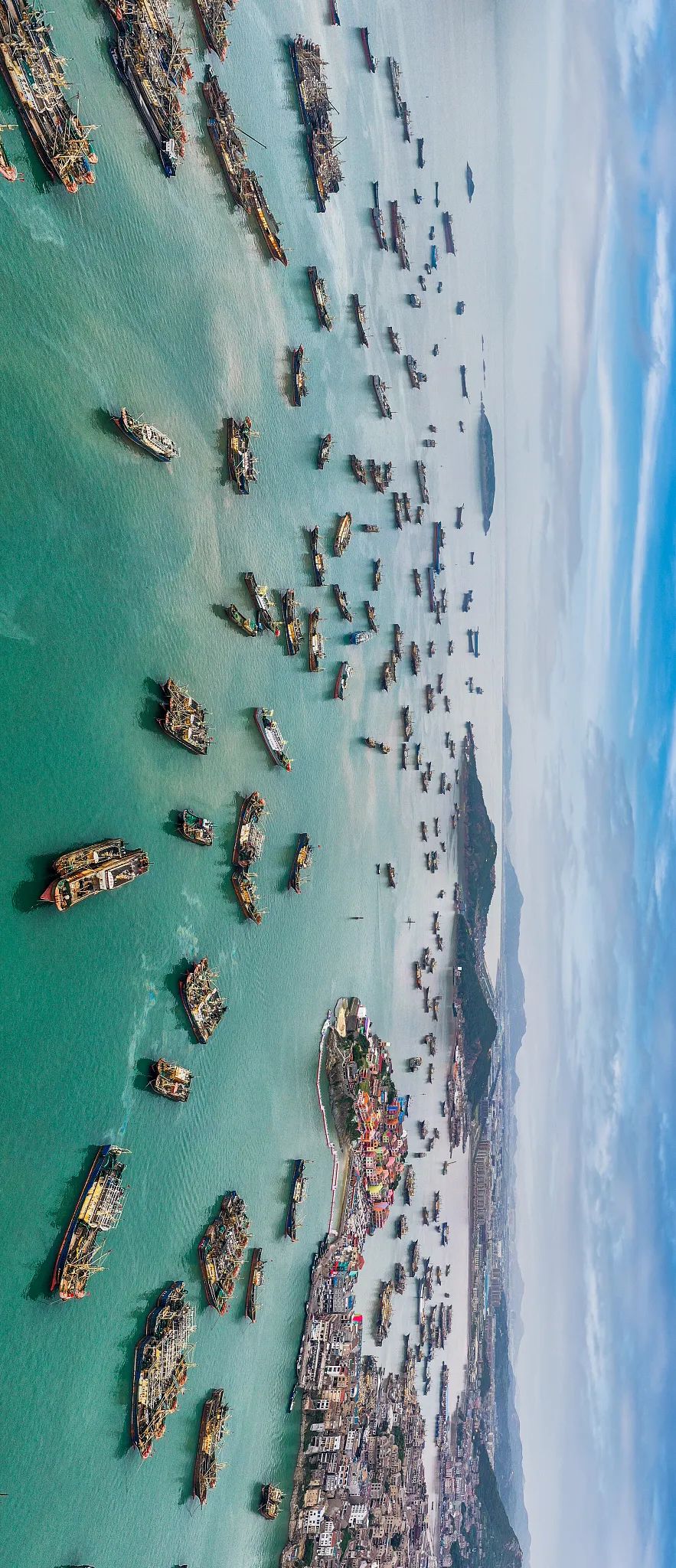 沙蒜冷门小海鲜,望潮最好吃的海鲜