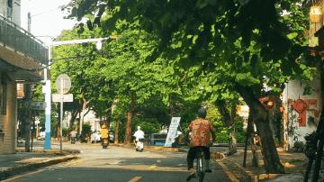 中山为什么出名,中山为什么这么值得买