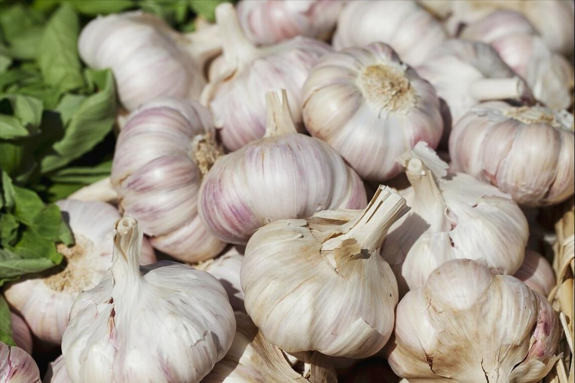 大蒜要怎么储存才不会发芽,大蒜怎么保存才不会干瘪发芽