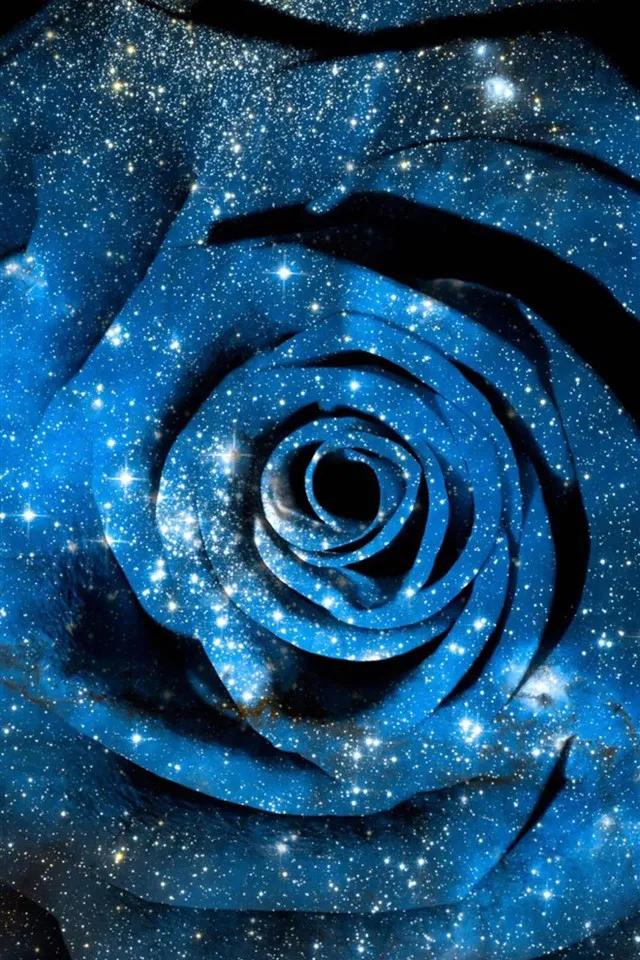 蓝色妖姬花束壁纸,花朵壁纸蓝色