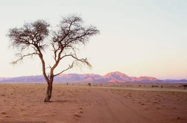 当精子与卵细胞相遇,当精子和卵子相遇后还会排卵吗