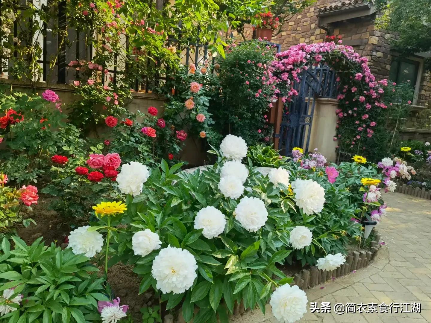 她做保姆这些年豪门生活之序,她做保姆这些年之豪门生活77